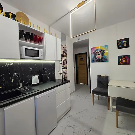 Appartamento By The Sea - Prestige With A Luxurious Jacuzzi, Sauna And An Exclusive Massage Chair Available In One Of The Apartments! Danzica